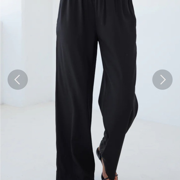 Ayr The Voila Silk pants - Picture 6 of 13